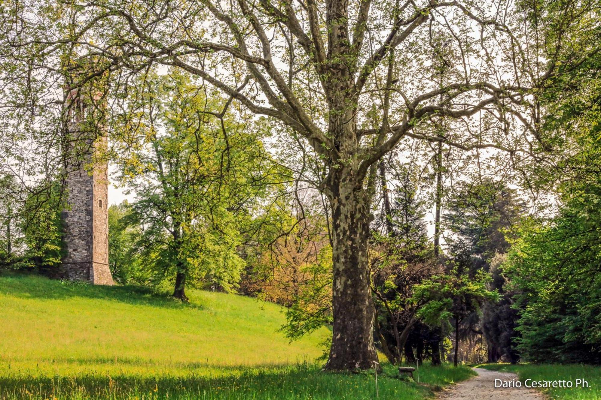 Villa Cagnola Schianno Bagian luar foto